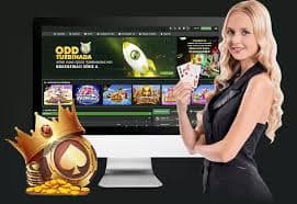 Pengguna menggunakan kontrol privasi dan fitur keamanan akun di platform